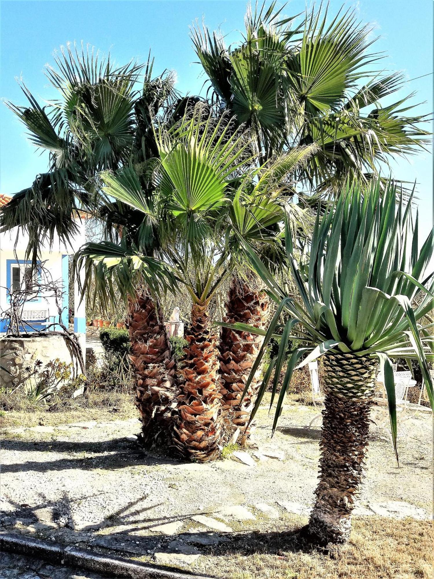 Serra de Mangues Agua Rochaヴィラ 部屋 写真