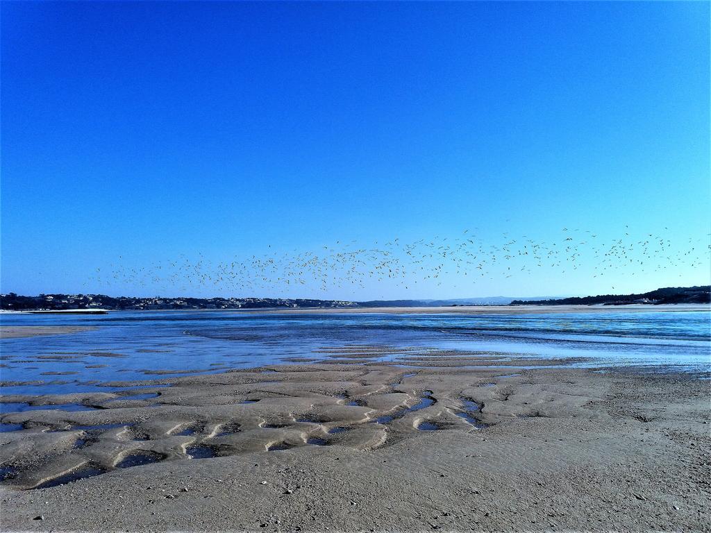 Serra de Mangues Agua Rochaヴィラ エクステリア 写真